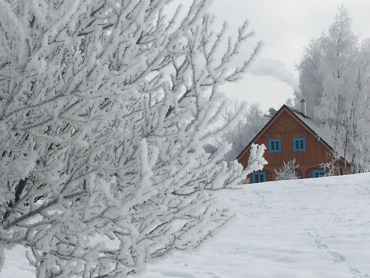 Villa Roubenka Kokorinsko Dubá Esterno foto